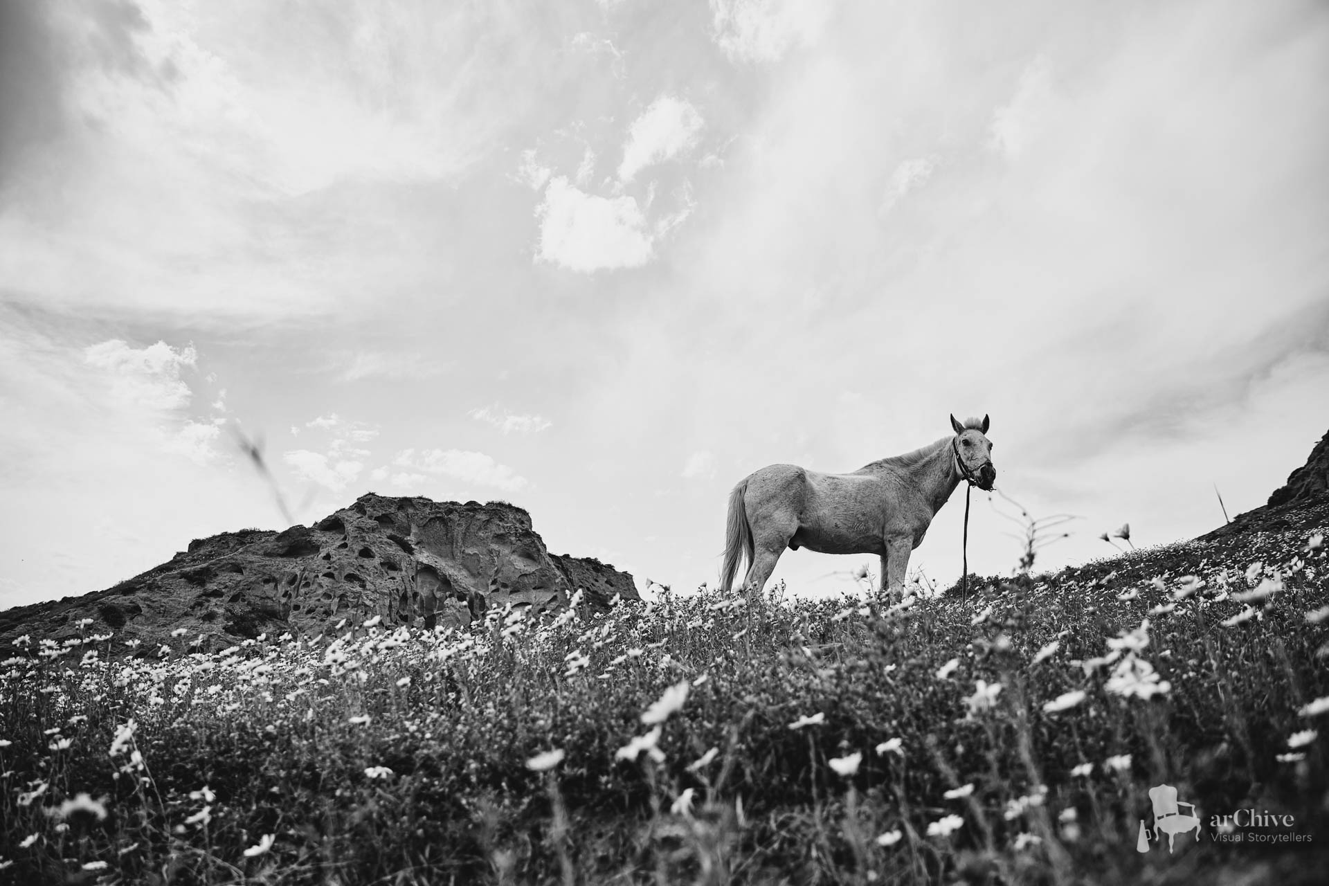 best photographer Santorini arChive
