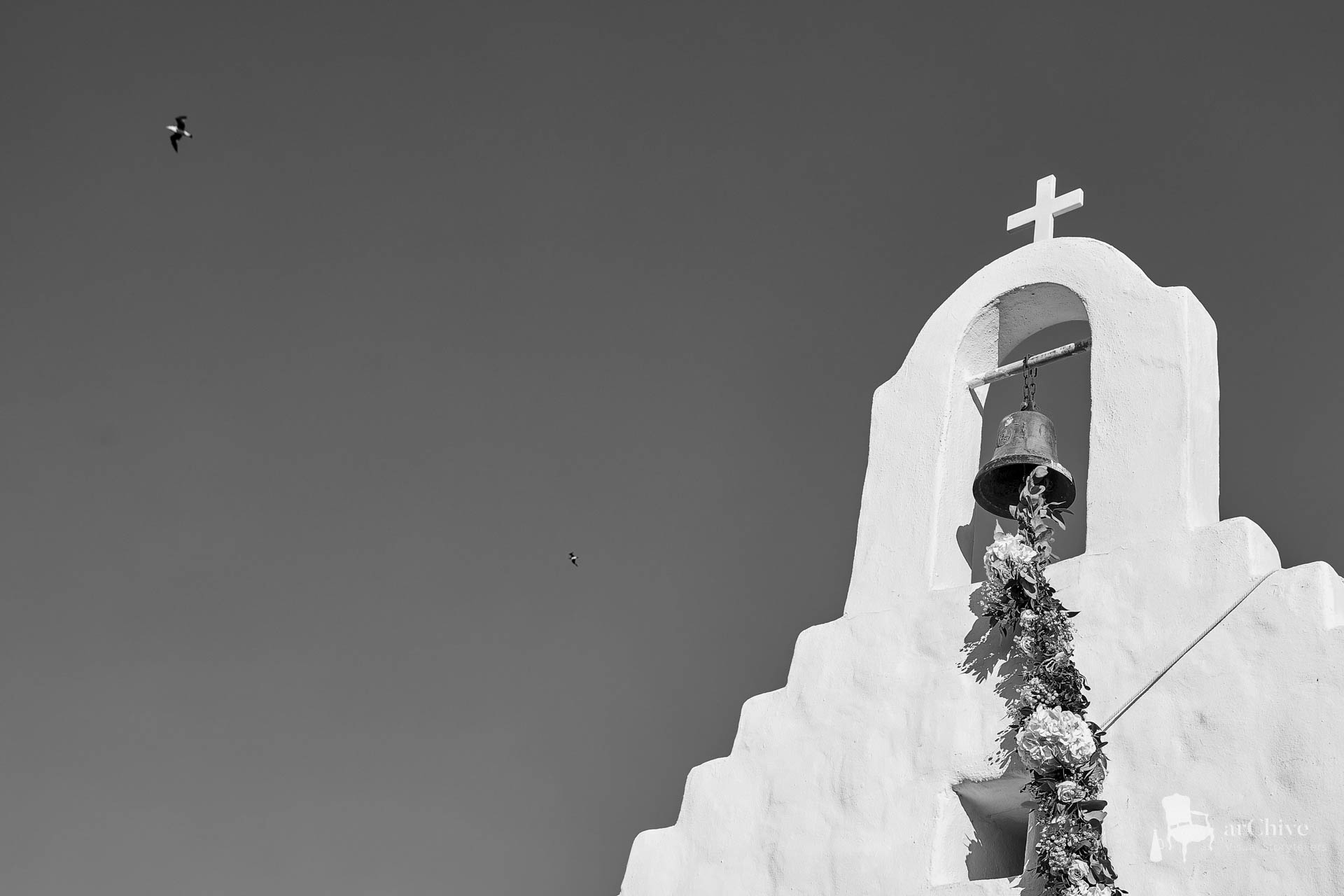 island art and taste wedding photographer